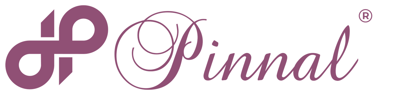 Pinnal logo
